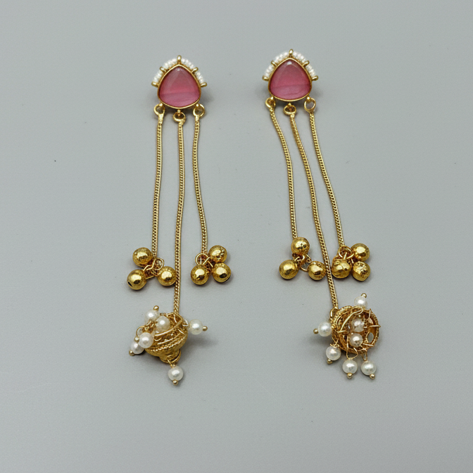 Sleek Kashmiri Earrings