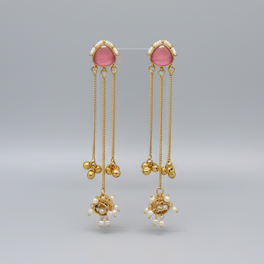 Sleek Kashmiri Earrings