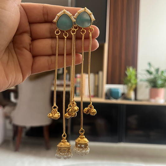Sleek Kashmiri Earrings