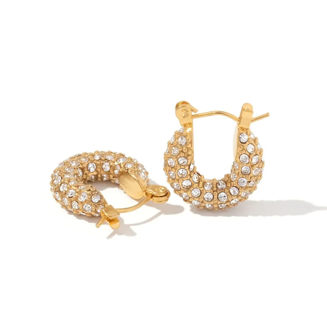 Luxe AD Studded Hoop Earring