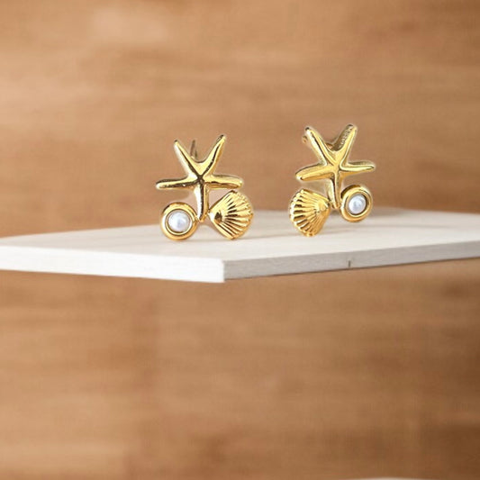 Star Shell Small Studs Earrings