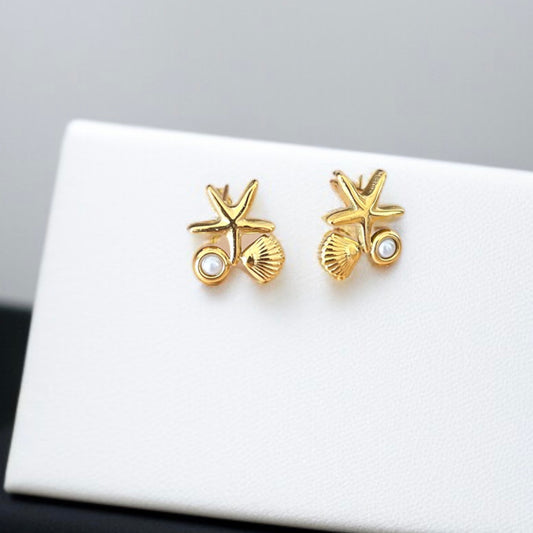Star Shell Small Studs Earrings