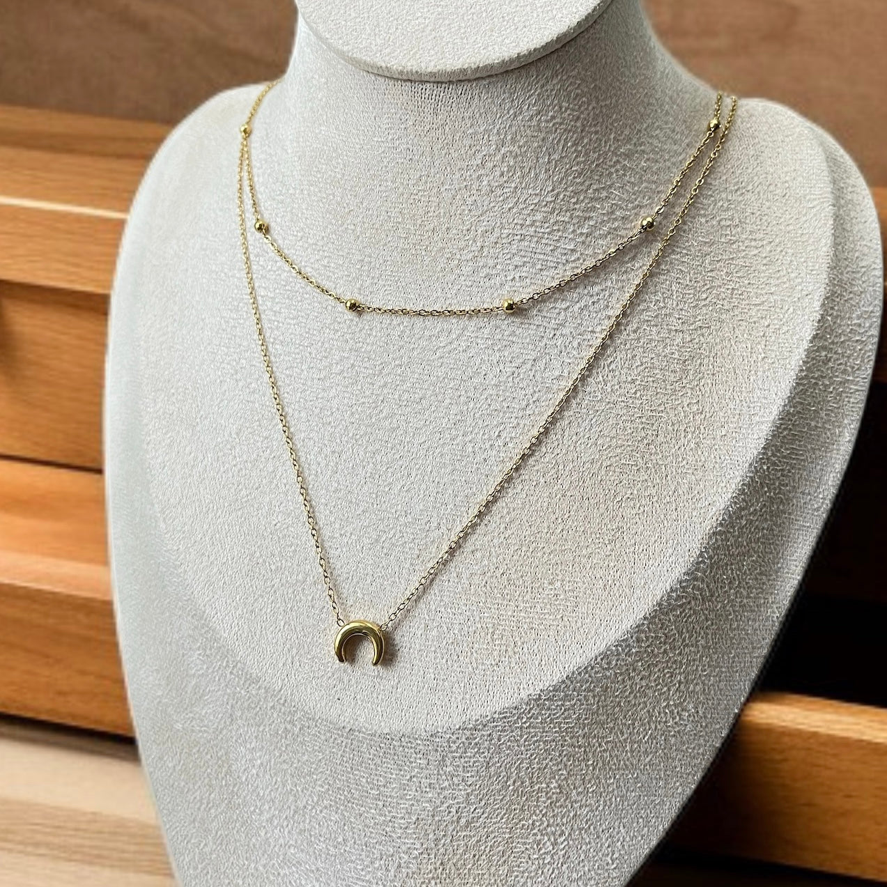 Double Chain Moon Necklace