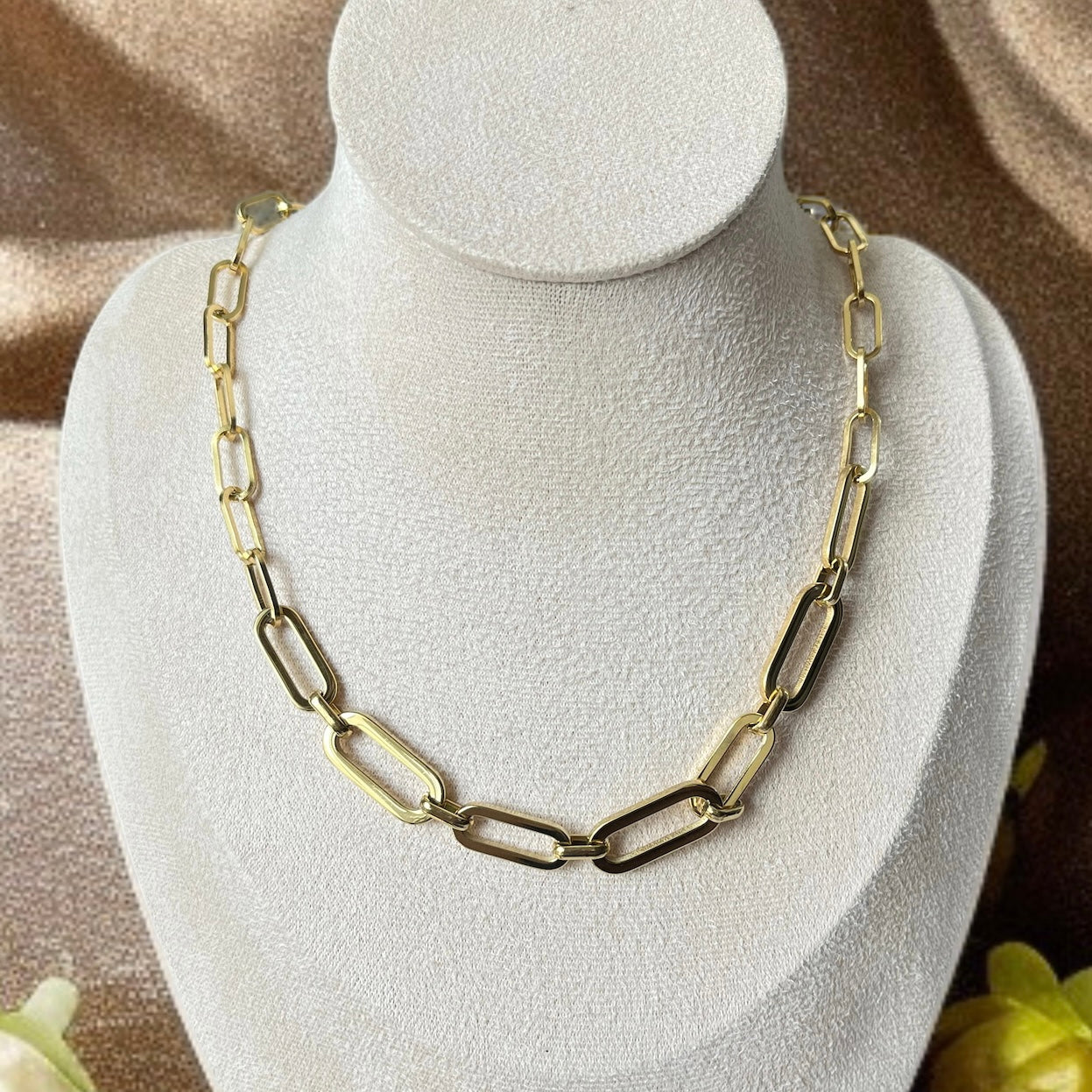 Gold Clip Chain Necklace