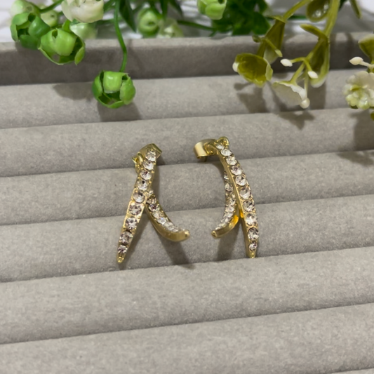 Stone Dangle Earrings