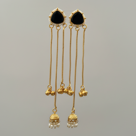 Sleek Kashmiri Earrings