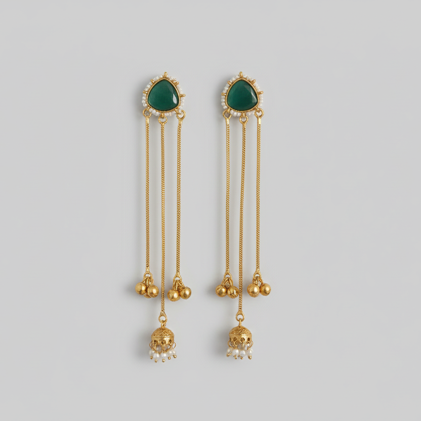 Sleek Kashmiri Earrings