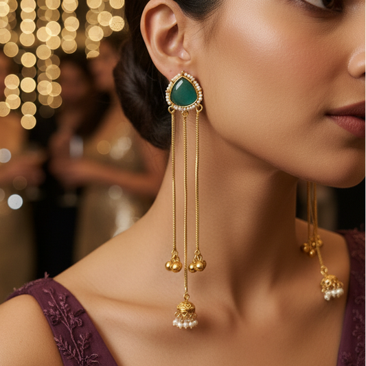 Sleek Kashmiri Earrings