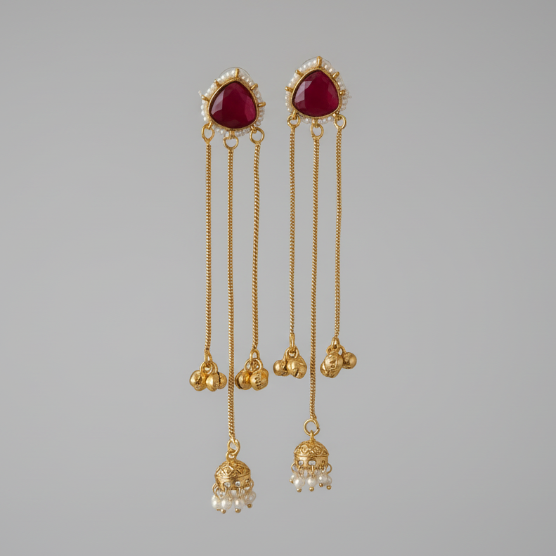 Sleek Kashmiri Earrings