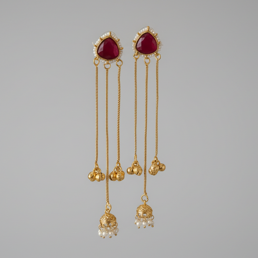Sleek Kashmiri Earrings