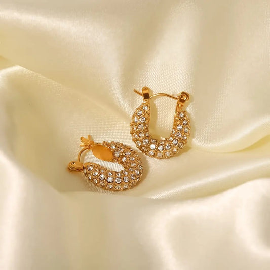 Luxe AD Studded Hoop Earring