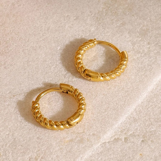 Small Gold Hoops Earring