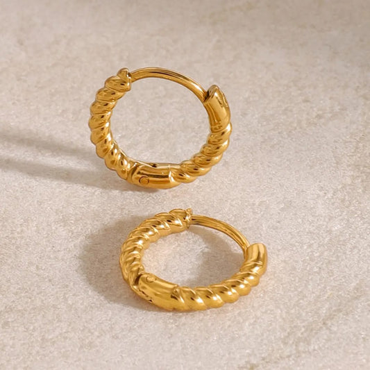 Small Gold Hoops Earring