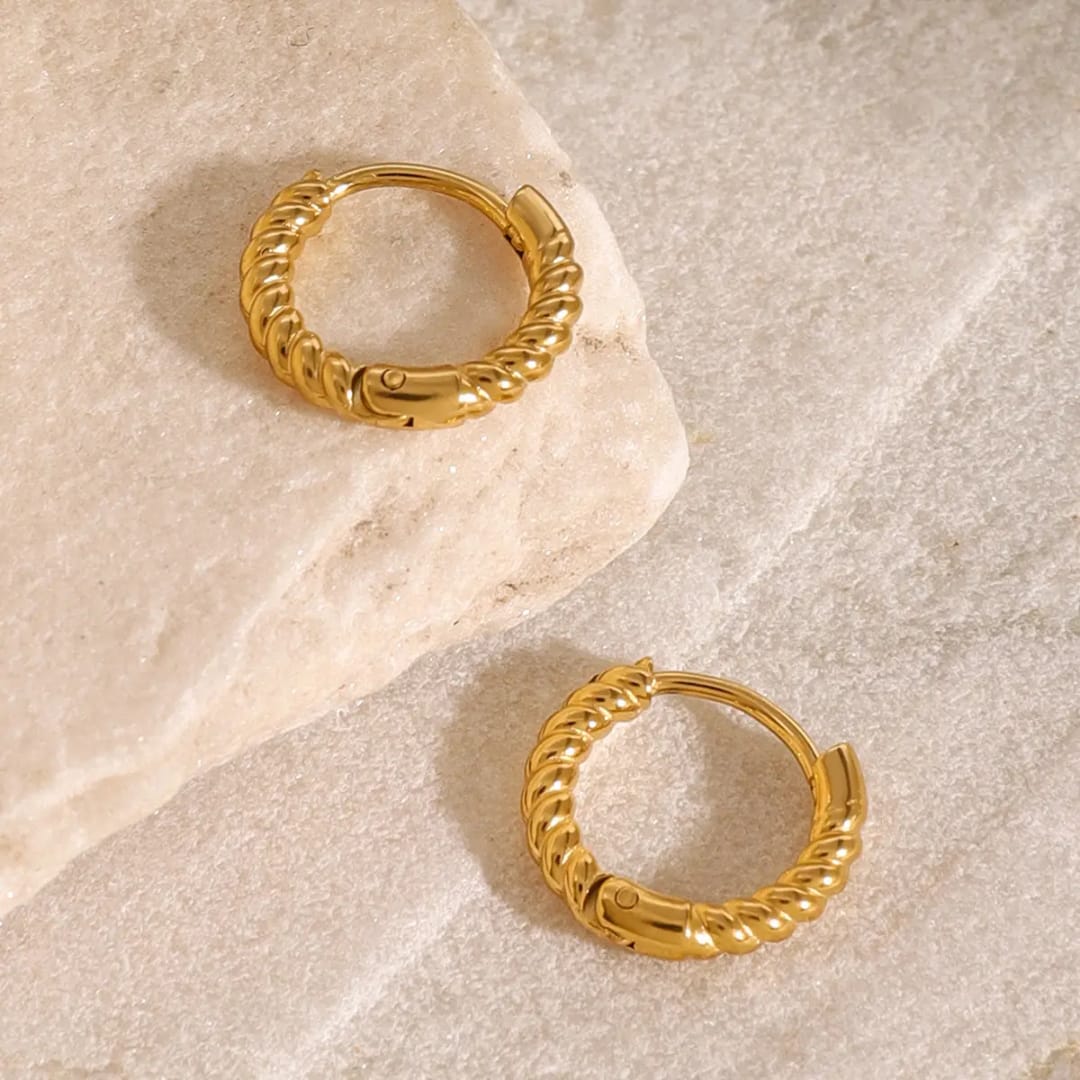 Small Gold Hoops Earring