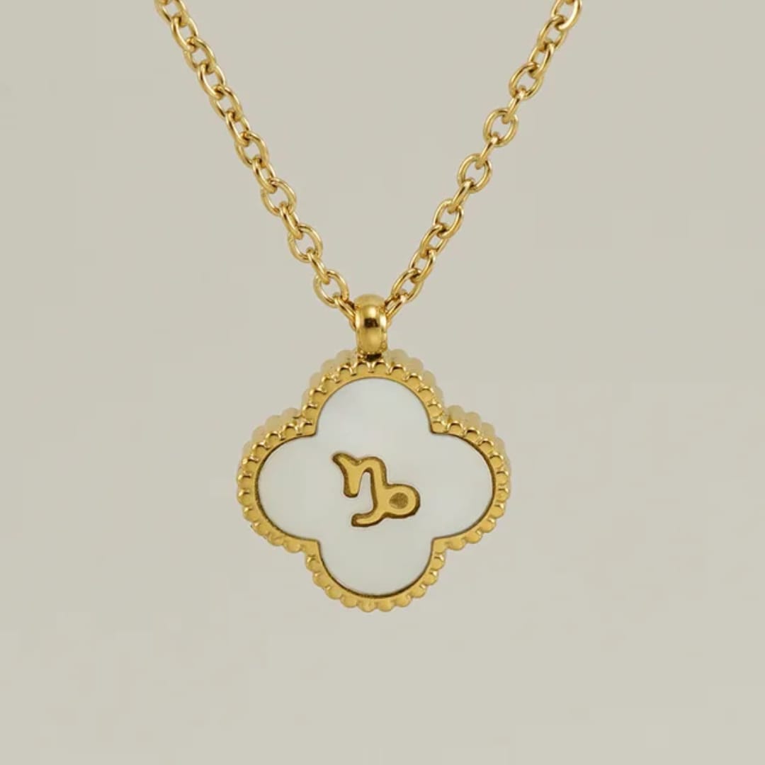 Capricorn Zodiac Chain Necklace