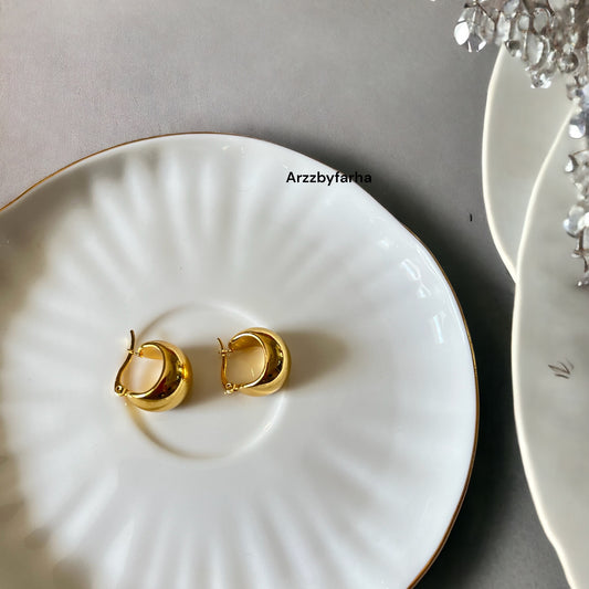 Minimalistic Trendy Hoop Earrings